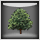 The forest tool icon in WED