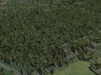 Forests in X-Plane 10