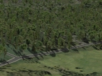 Forests in X-Plane 10