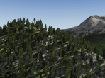 An X-Plane 10 forest