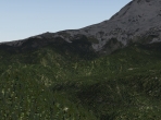 An X-Plane 10 forest