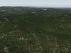 Forests in X-Plane 10