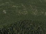 An X-Plane 10 forest
