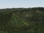 An X-Plane 10 forest