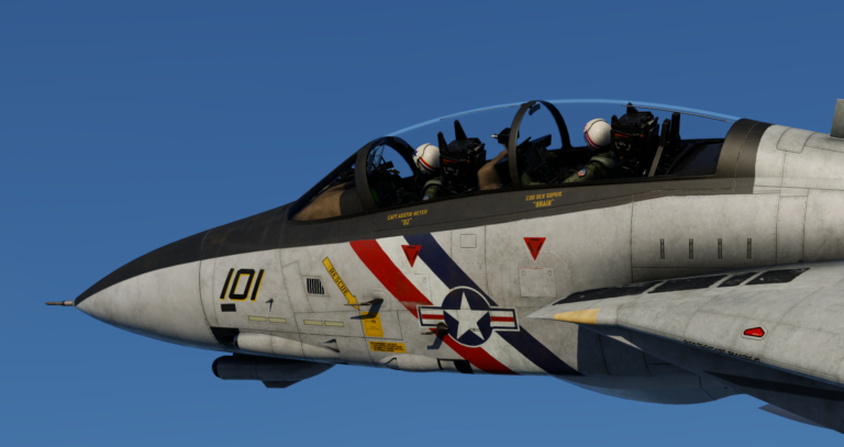 Flight Simulator F-14 in flight